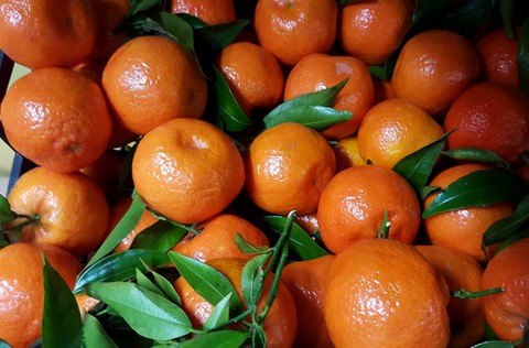 Alcuni prodotti altamente italiano a km 0