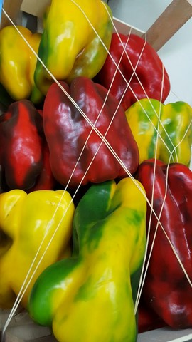 Peperoni di stagione