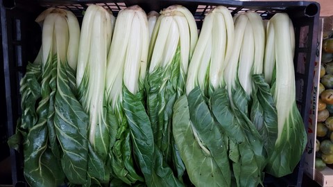 Verdura fresca di stagione