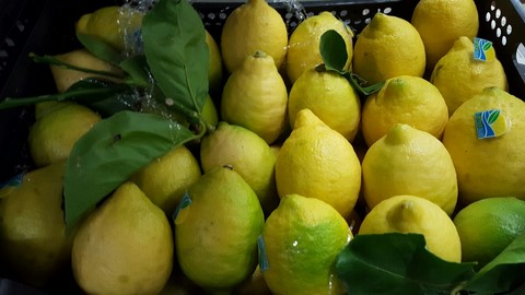 Limoni veri italiani