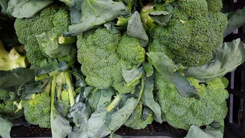 Broccoli verdura di stagione
