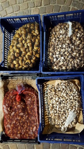 Lumache con il melograno frutta a carmagnola