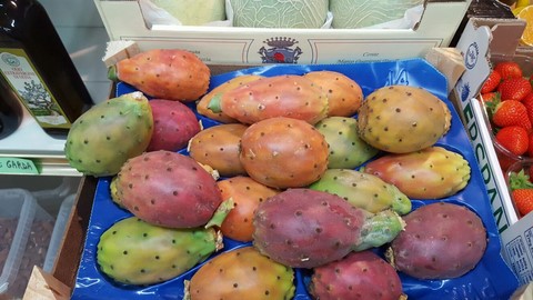 Fichi d'india ottimi