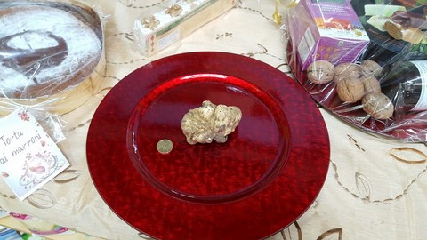 il nostro punto vendita