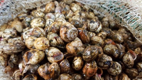 il nostro punto vendita