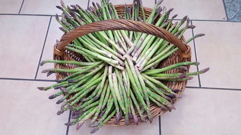 I nostri asparagi