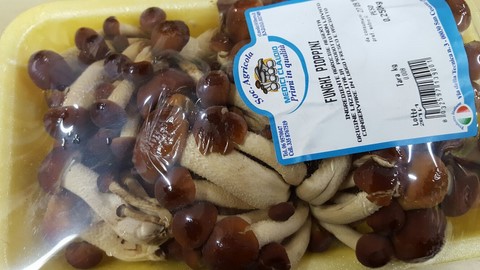 Fughi, passa da Andrea in negozio il melograno frutta